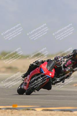 media/Sep-30-2023-SoCal Trackdays (Sat) [[636657bffb]]/Turn 15 (1120am)/